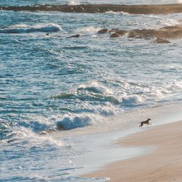 Platja de la Musclera, Maresme