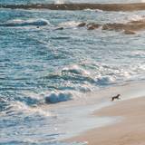 La Musclera Beach